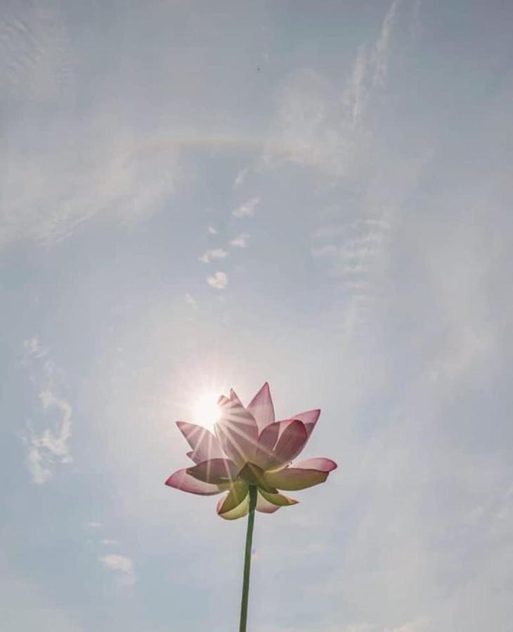 Khach San Flower Sky Να Τρανγκ Εξωτερικό φωτογραφία
